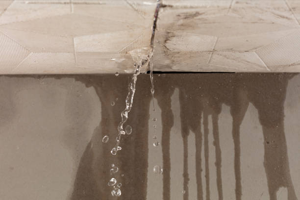 Professional Structural Drying technician working in Edna, TX